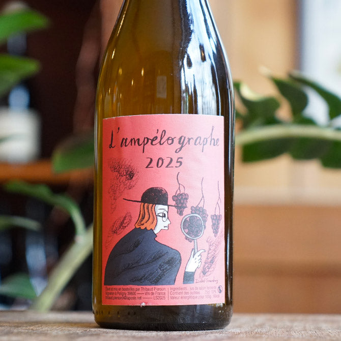 L’Ampélographe 2025 - Thibaud Pierson