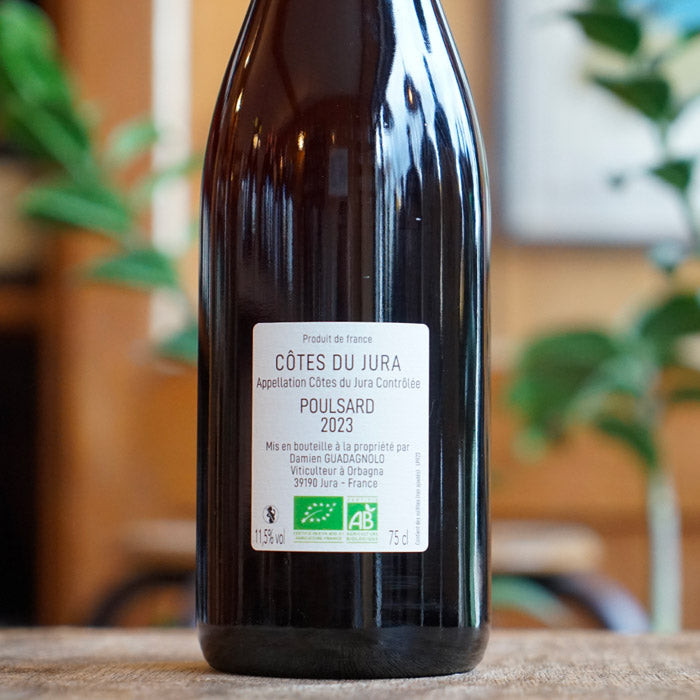 Poulsard 2023 - Damien Guadagnolo