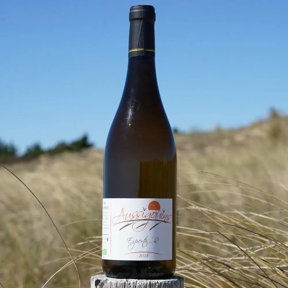 Experto R 2023 - Dominique Dufour