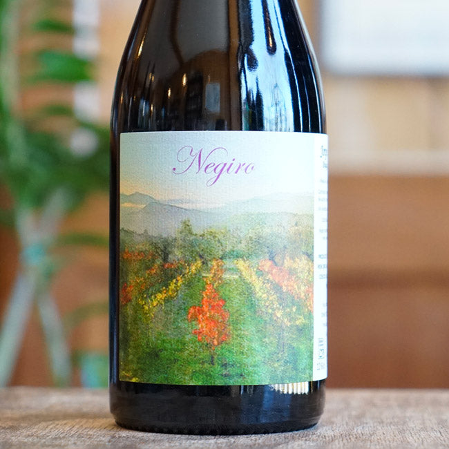 Negiro 2023 - Jorge Olivera