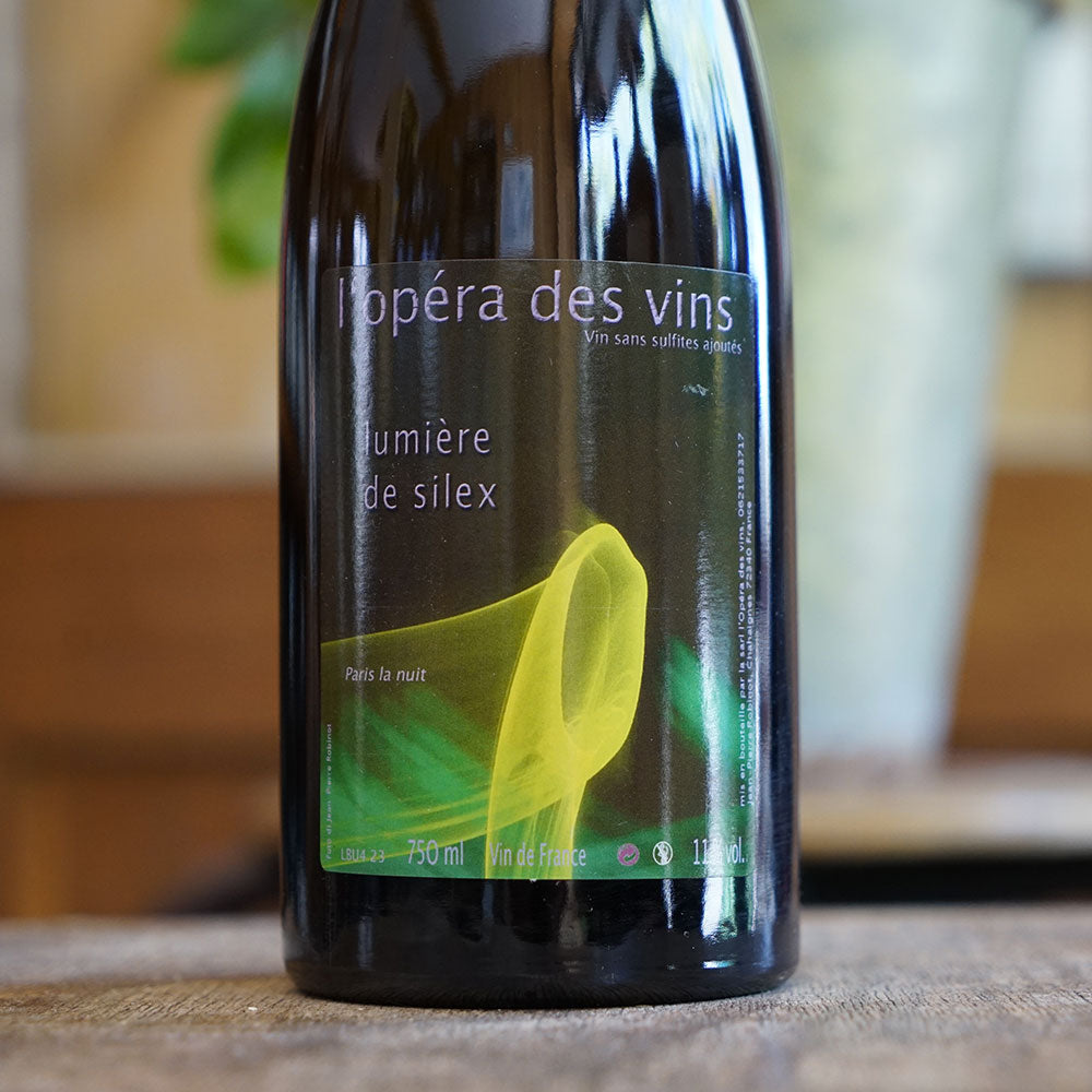 Lumière de silex 2023 - Jean-Pierre Robinot