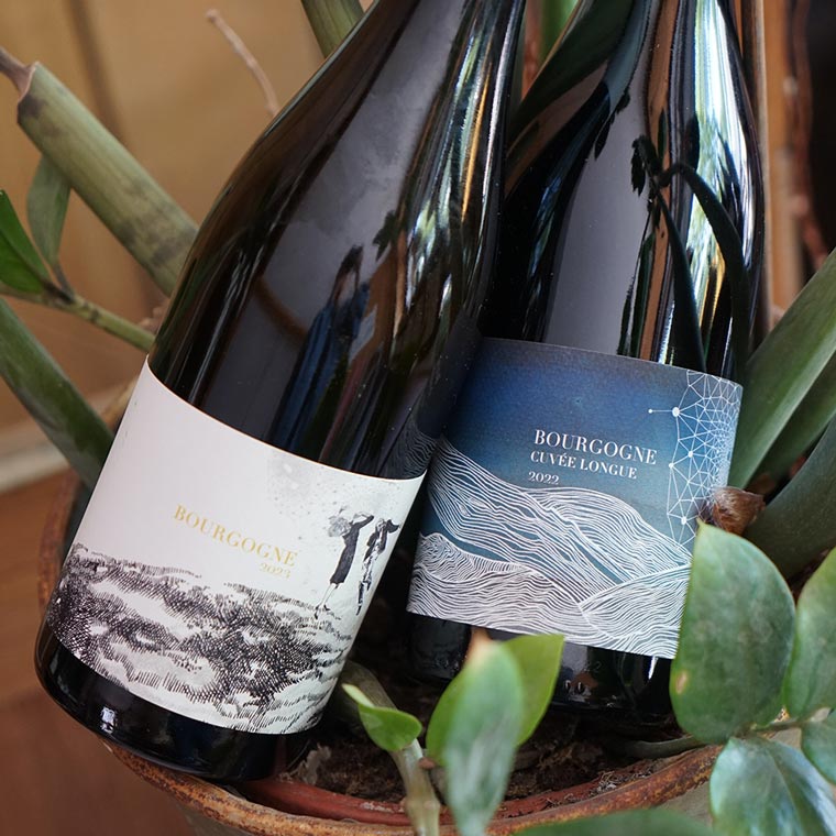 Bourgogne Blanc 2023 - Naïma & David Didon