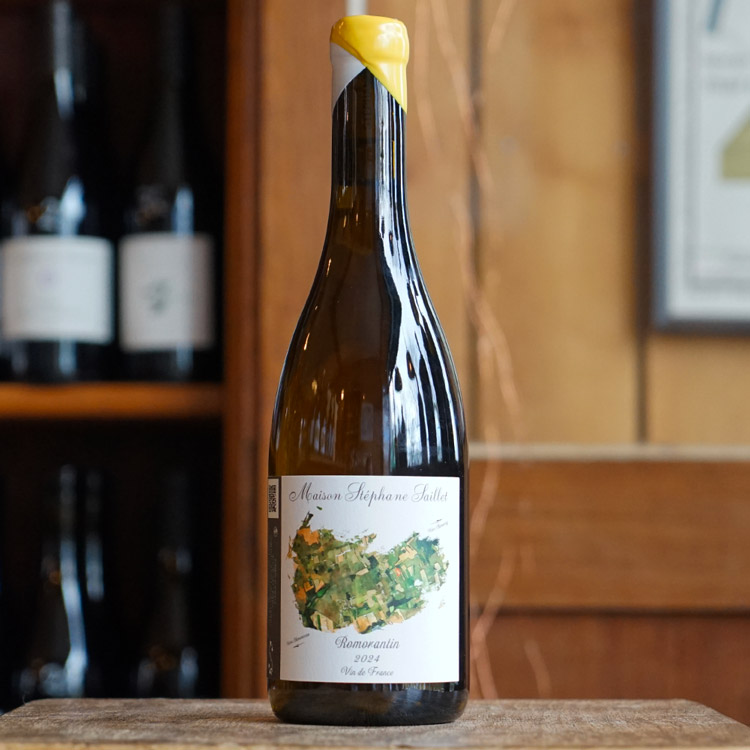 Romorantin 2024 - Stéphane Saillet