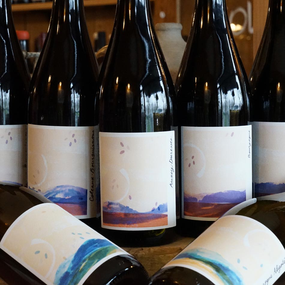 Bourgogne Rouge "Les Châtaigners" 2023 - La Chaume des Lies