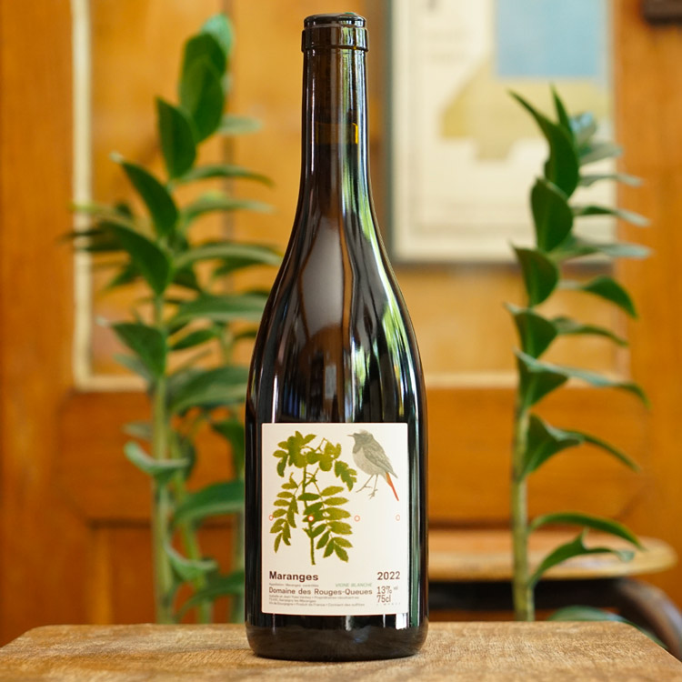 Maranges Rouge Vigne Blanche 2022 - Domaine des Rouges Queues