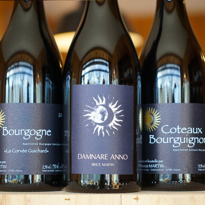 Damnare Anno 2024 - Brice Martin