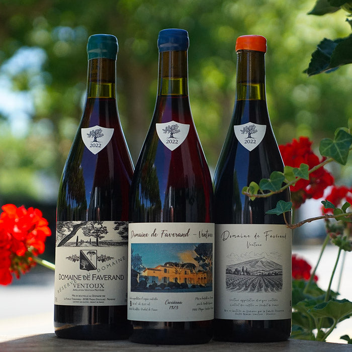 Rouge 2022 - Domaine de Faverand