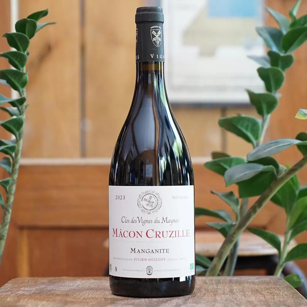 Manganite 2023 - Julien Guillot