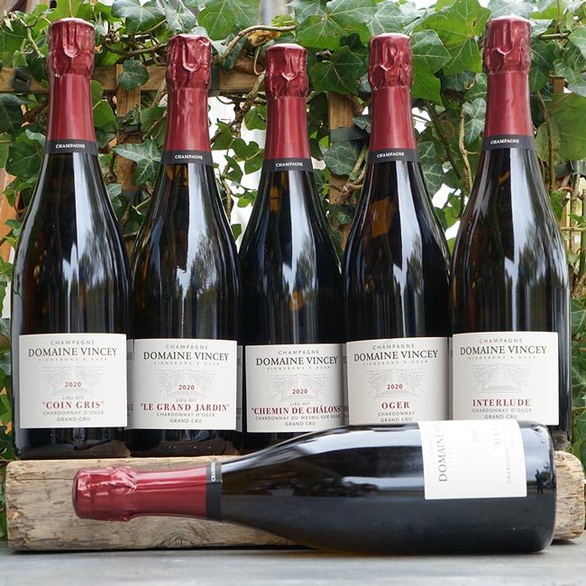 Auge 2020 - Domaine Vincey