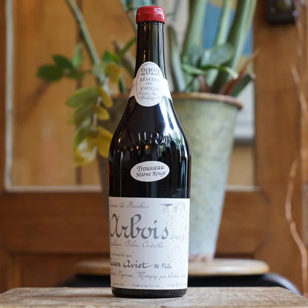 Trousseau Marne Rouge "Cuvée des Géologues" 2023 - Lucien Aviet