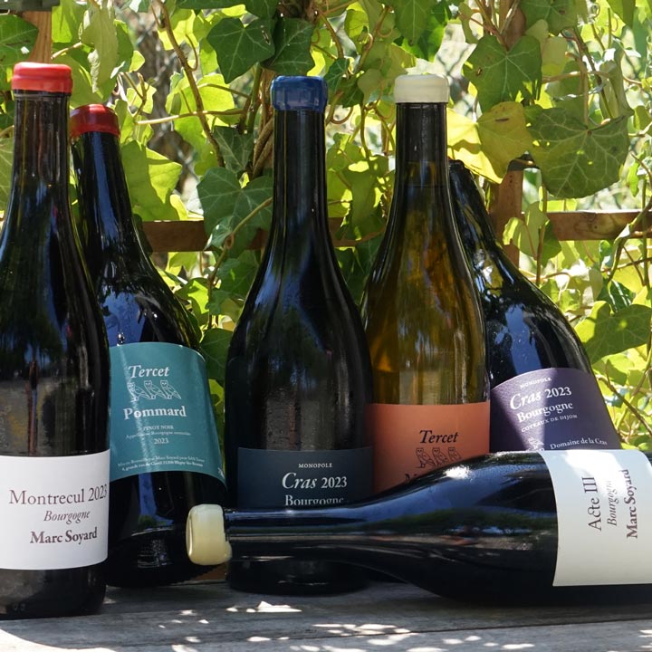 Pommard 2023 - Domaine de la Cras