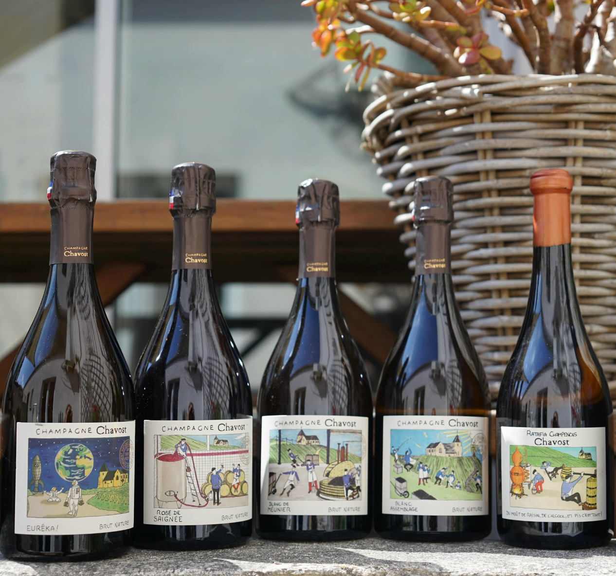 Coteaux Champenois Blanc - Champagne Chavost