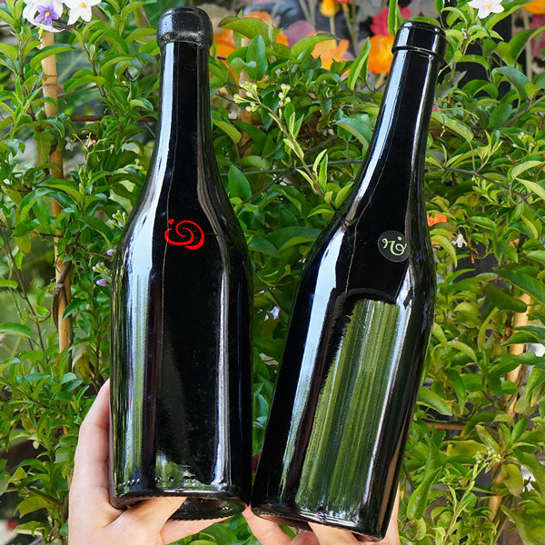 Rosé 2022 - Els Jelipins