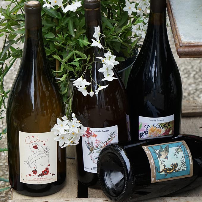 Fleurs 2023 Magnum - Patrick Desplats