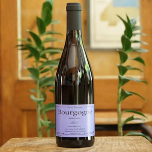 Bourgogne Rouge 2023 - Sylvain Pataille