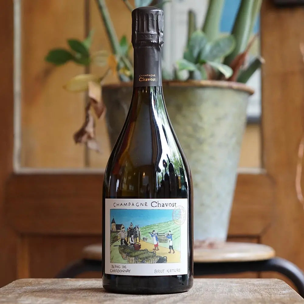 Blanc de Chardonnay - Champagne Chavost