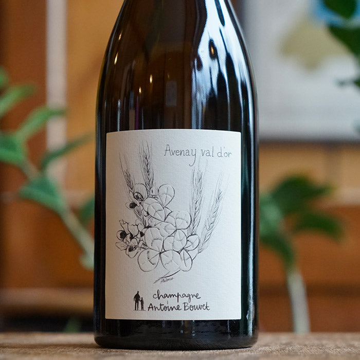 Avenay - Antoine Bouvet