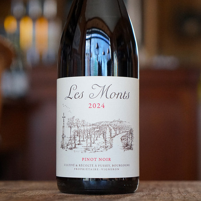 Hautes Cotes de Beaune "Les Crucibées" Rouge 2024 - Les Monts