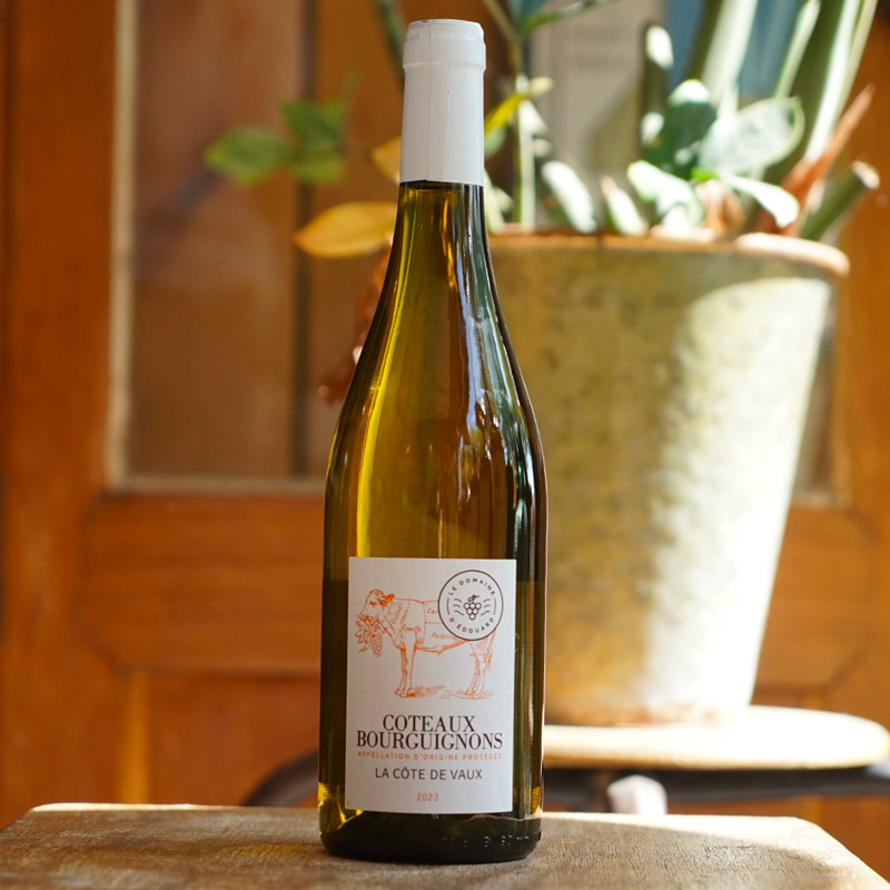Coteaux Bourguignons Blanc 2023 - Le Domaine d'Edouard