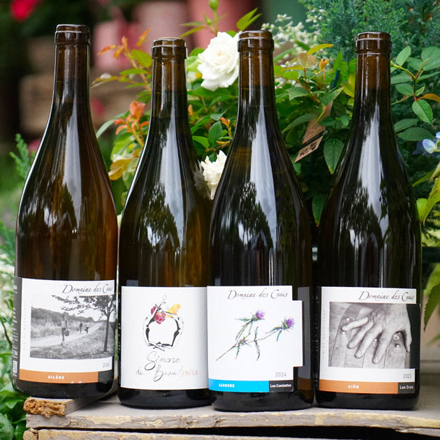 Saint Véran Aion 2023 - Domaine des Crais