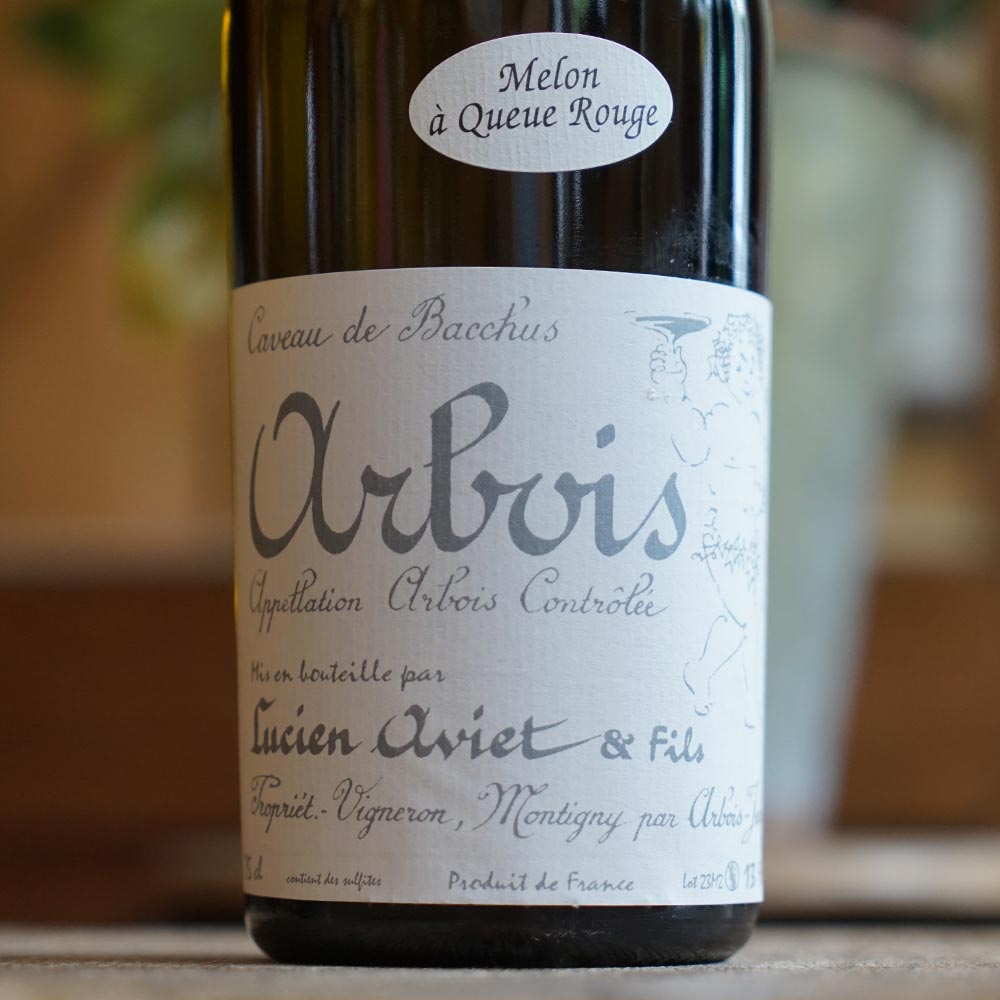 Melon à Queue Rouge "Cuvée des Docteurs" 2023 - Lucien Aviet