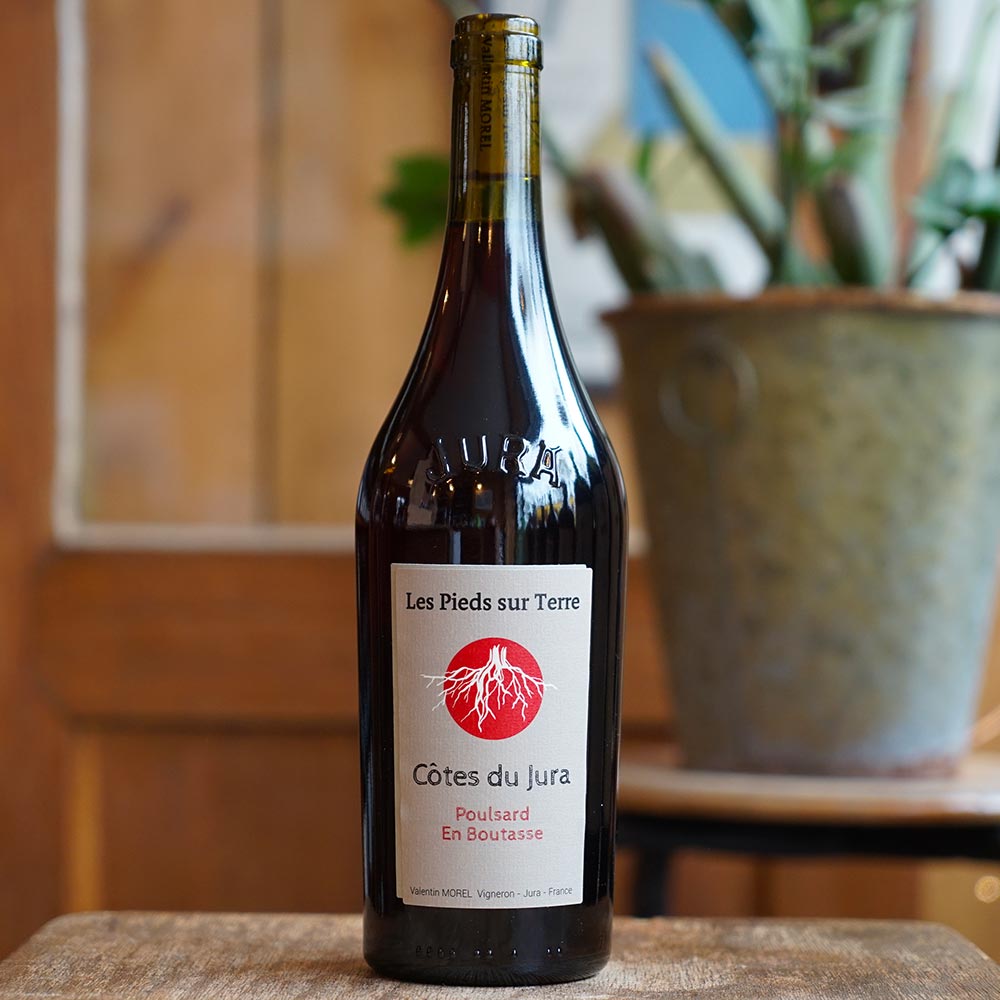 Poulsard en Boutasse 2023 Valentin Morel Marée Haute Vins Naturels