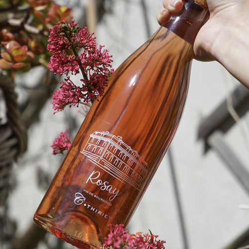 Coteaux Bourguignons Rosé 2022 - Camille Thiriet