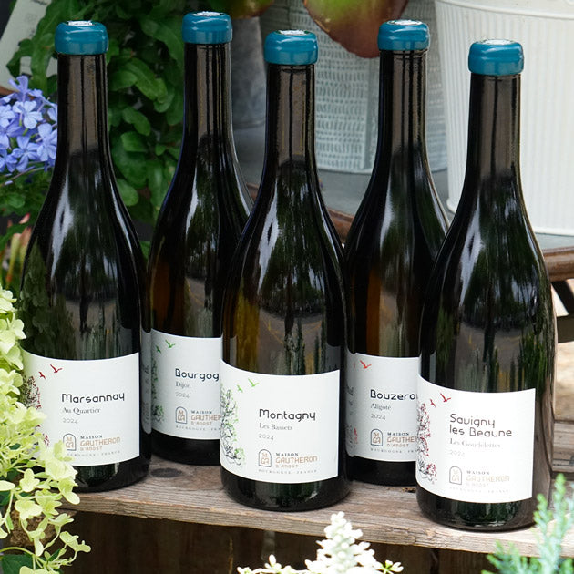 Bourgogne Dijon 2024 - Maison Gautheron d'Anost