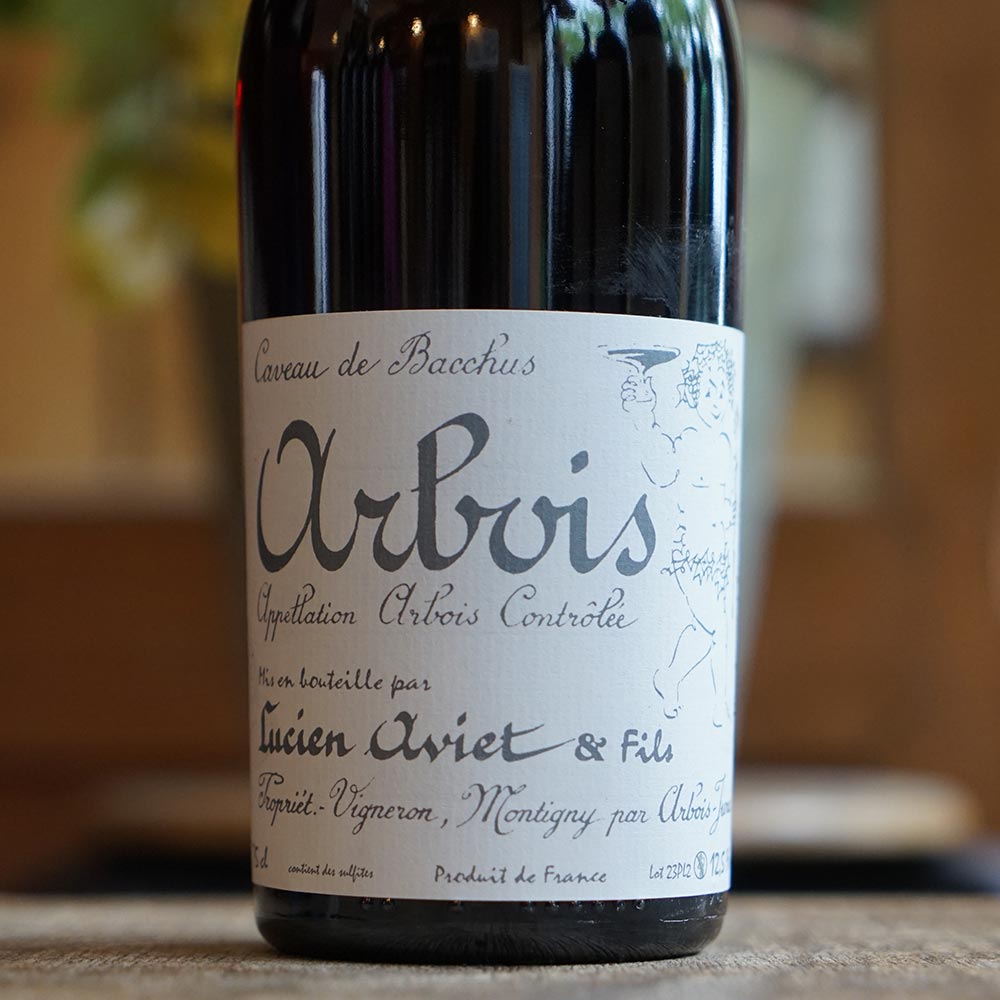 Ploussard "Cuvée des Docteurs" 2023 - Lucien Aviet