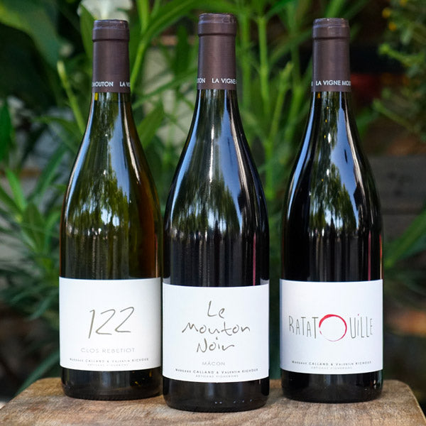 Mâcon Rouge Ratatouille 2022 - La Vigne Mouton