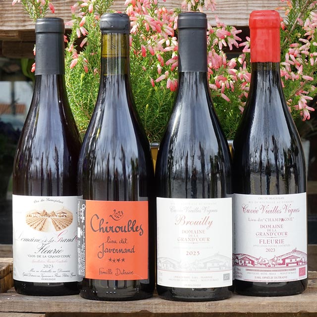 Fleurie lieu dit Champ*gne 2023 - Domaine de la Grand'Cour