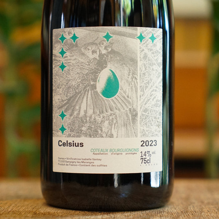 Coteaux Bourguignons Rouge 2023 - Domaine des Rouges Queues