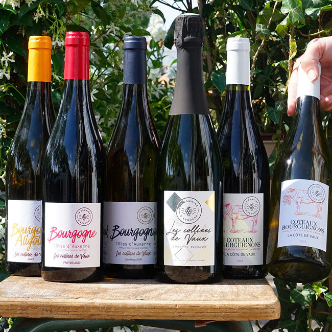 Bourgogne Côtes d'Auxerre Chardonnay 2022 - Le Domaine d'Edouard