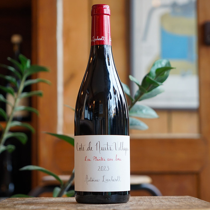 Côte de Nuits Villages "Les Plantes Aux Bois" 2023 - Antoine Lienhardt
