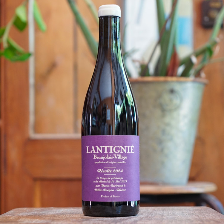 Lantignié 2024 - Yann Bertrand