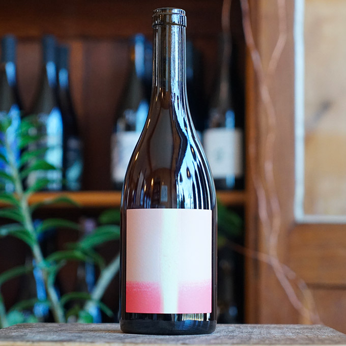 T Qui Rit 2024 - Vin Noé