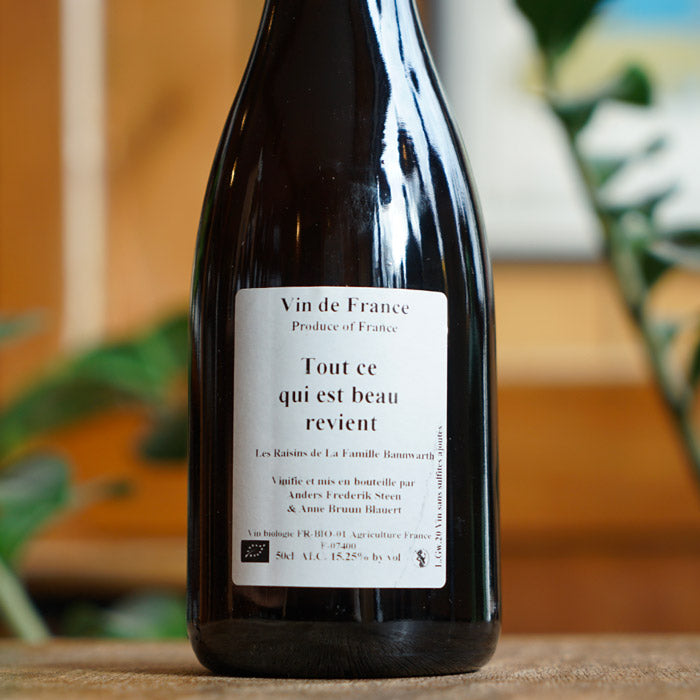 Tout ce qui est beau revient 2020 - Anders Frederik Steen et Anne Bruun Blauert