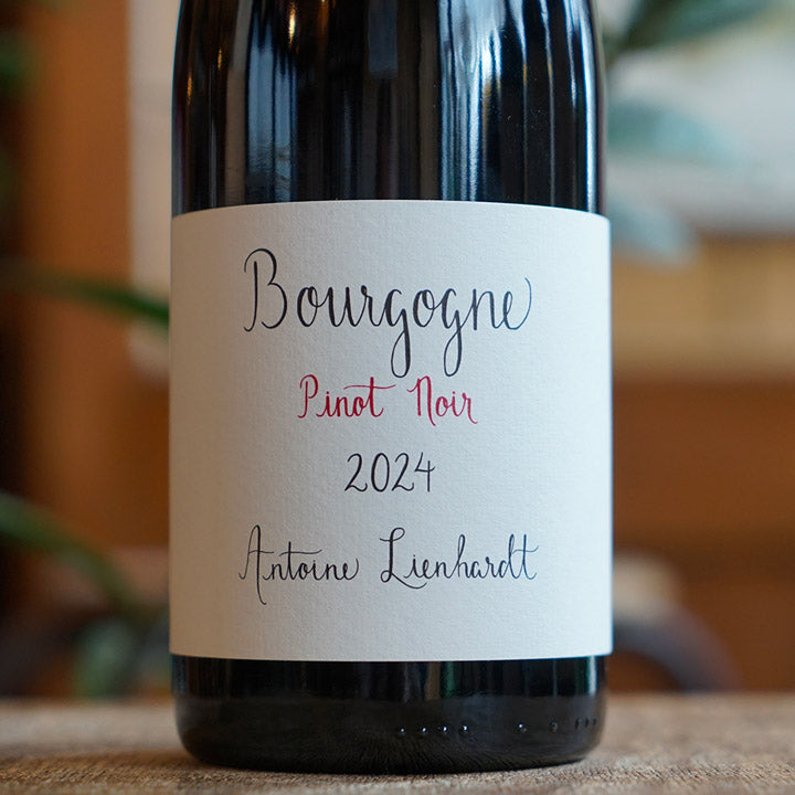 Bourgogne Rouge 2024 - Antoine Lienhardt