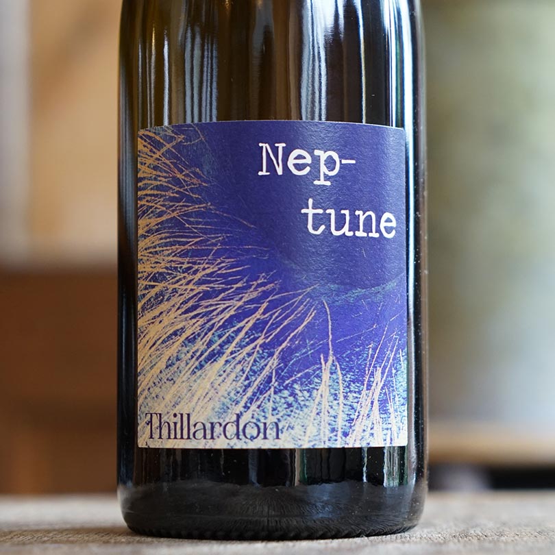 Neptune 2022 - Domaine Thillardon