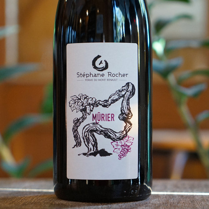 Mûrier 2023 - La Ferme de Mont Benault