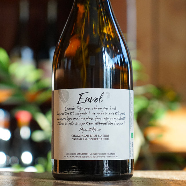 Envol 2019 - Serge & Olivier Horiot