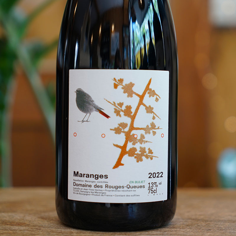 Maranges Rouge en Buliet 2022 - Domaine des Rouges Queues