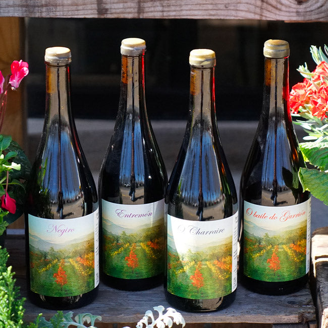 Negiro 2023 - Jorge Olivera