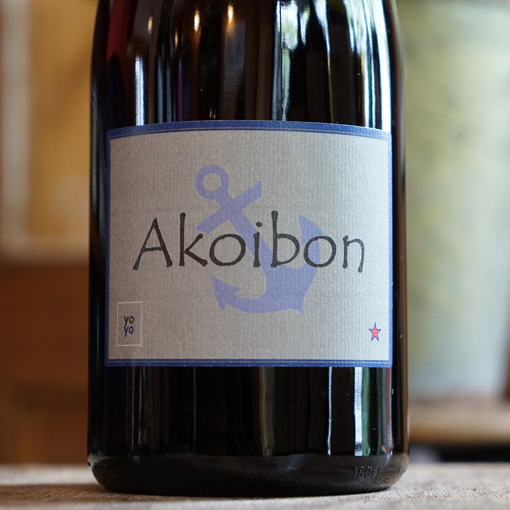 Akoibon 2024 Magnum - Yoyo