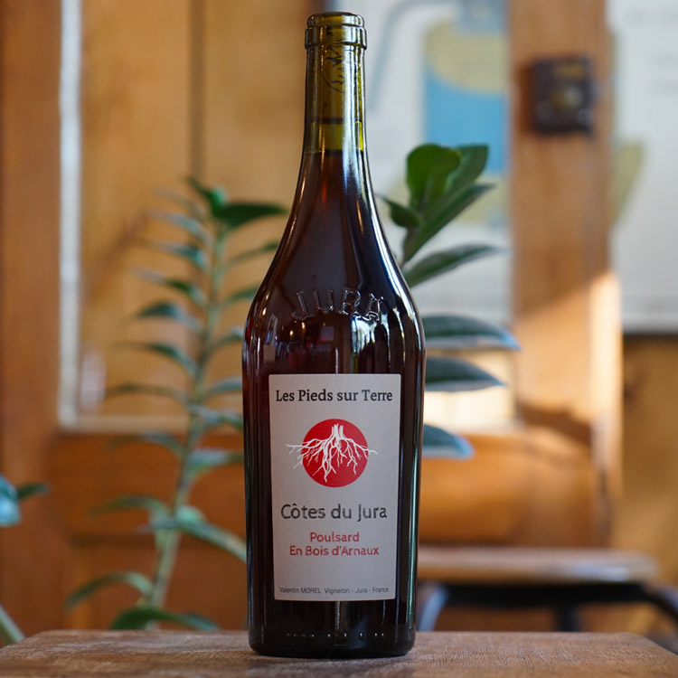 Poulsard Bois d'Arnaux 2023 - Valentin Morel - Marée Haute Vins