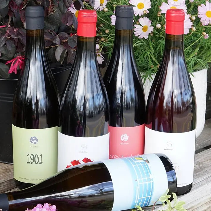 Oeillet Rouge(s) 2024 - Le Clos des Grillons