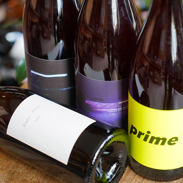 Mildiou Grenache 2024 - Les Frères Souliers