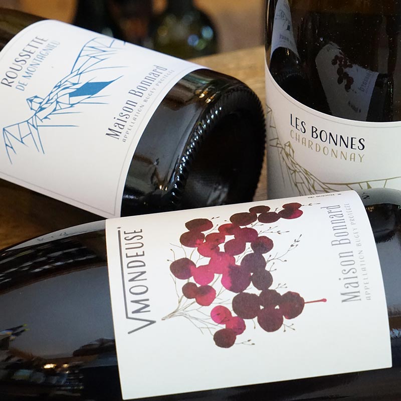 Roussette de Montagnieu 2022 - Maison Bonnard