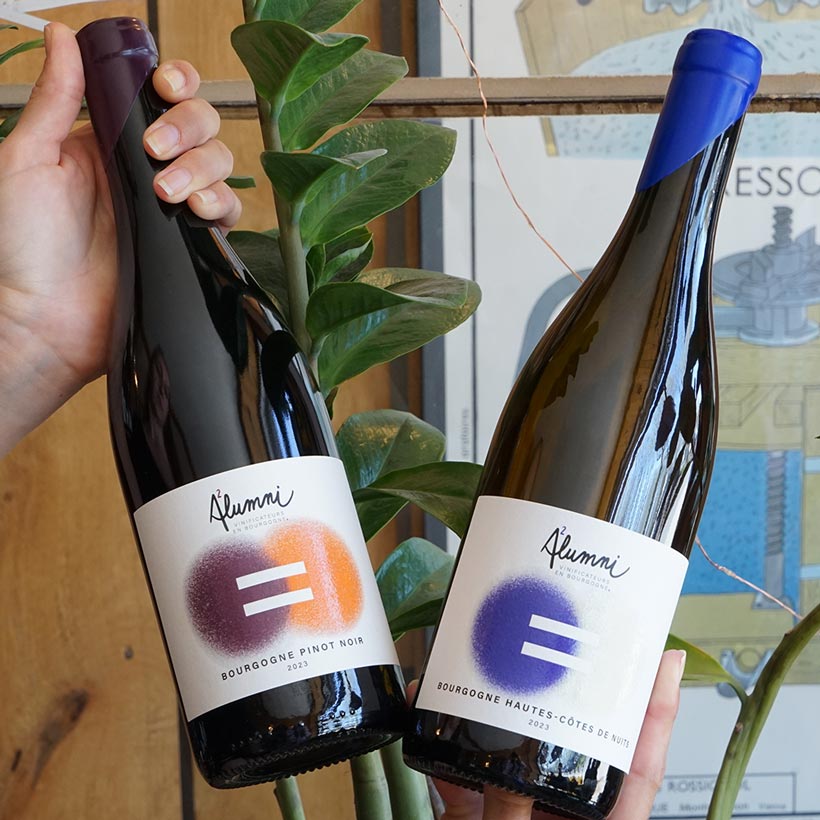 Hautes Côtes de Nuits Blanc 2023 - Maison Alumni