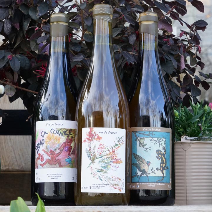 Homo ça coince 2022 - Patrick Desplats